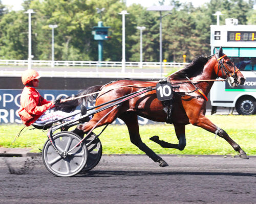 MAGNUM-DU-CHOQUEL-©ScoopDyga